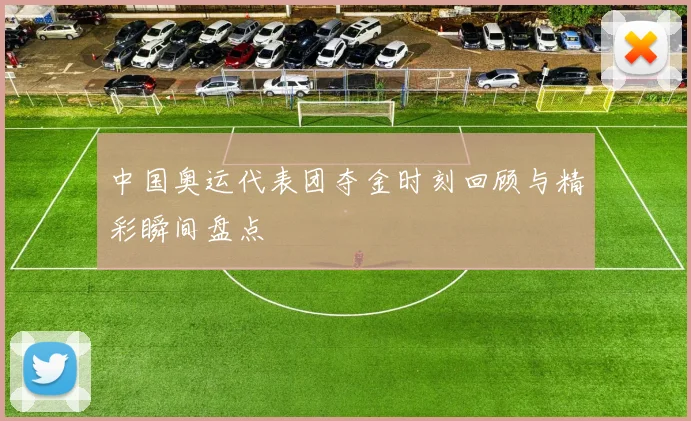 中国奥运代表团夺金时刻回顾与精彩瞬间盘点