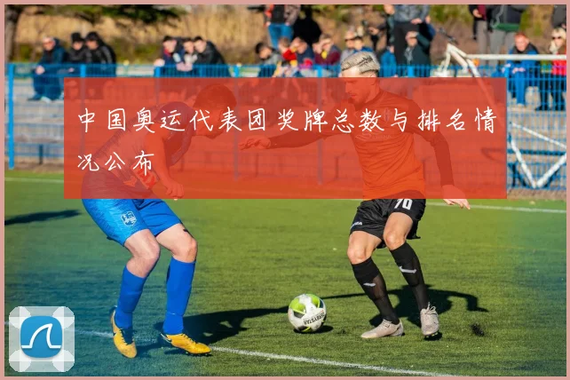 中国奥运代表团奖牌总数与排名情况公布