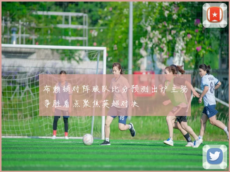 布赖顿对阵狼队比分预测出炉主场争胜看点聚焦英超对决